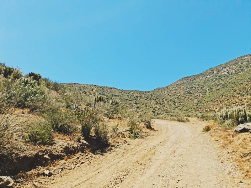 Terreno en Venta en el Romero, la Serena