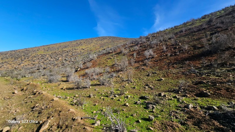 Venta Terreno en Cajón el Romero, la Serena Coquimbo