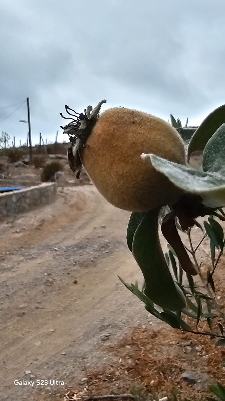 Venta Parcela Con Casa Dos Pisos Sector Quilacán la Serena