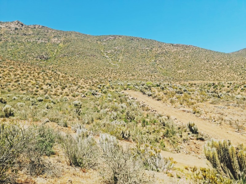 Terreno en Venta en el Romero, la Serena