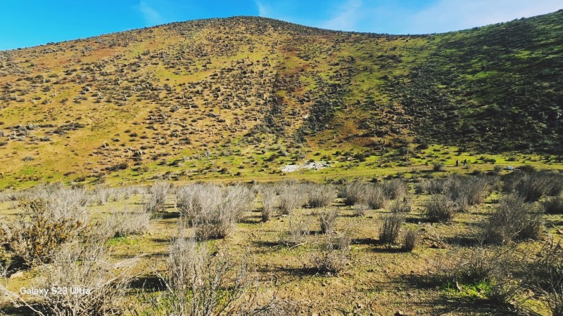 Venta Terreno en Cajón el Romero, la Serena Coquimbo