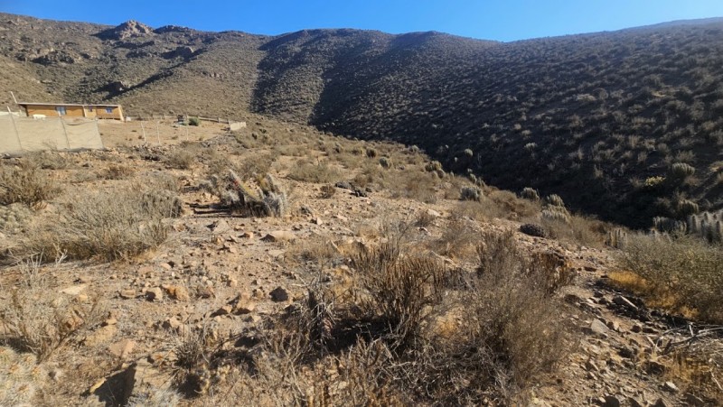 Terreno en Venta en el Romero, la Serena