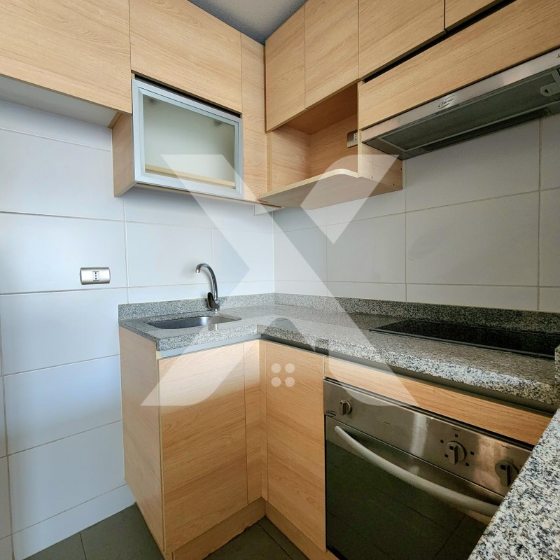 Arriendo Depto 1 Dormitorio 1 Baño C/bodega
