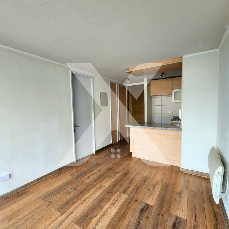 Arriendo Depto 1 Dormitorio 1 Baño C/bodega