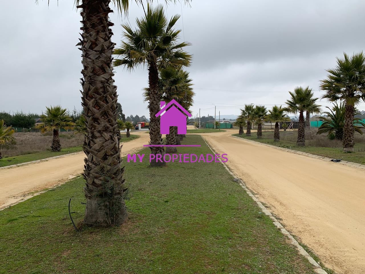 Parcela en Condominio Algarrobo