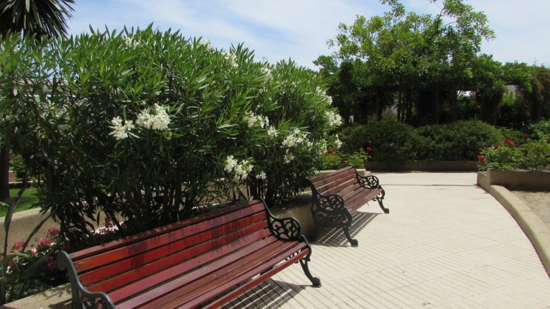 Oportunidad Se Arrienda Departamento 1 Dormitorio, Central .