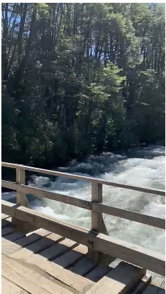 Exclusiva Parcela Cercana A Salto la Princesa, Malalcahuello