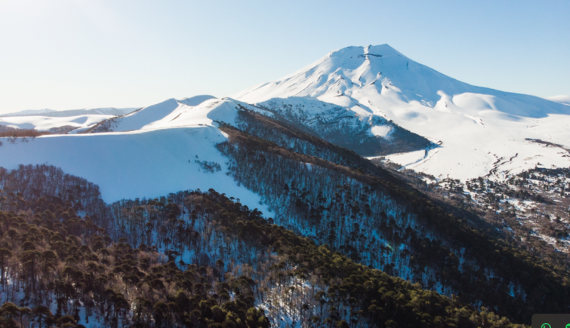 Exclusiva Parcela Cercana A Salto la Princesa, Malalcahuello