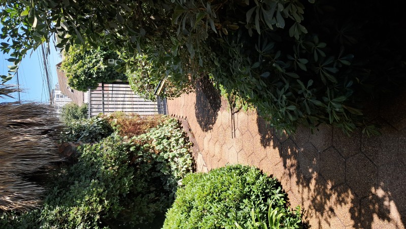 Linda y Exclusiva Casa Sector Avenida España Con Piscina
