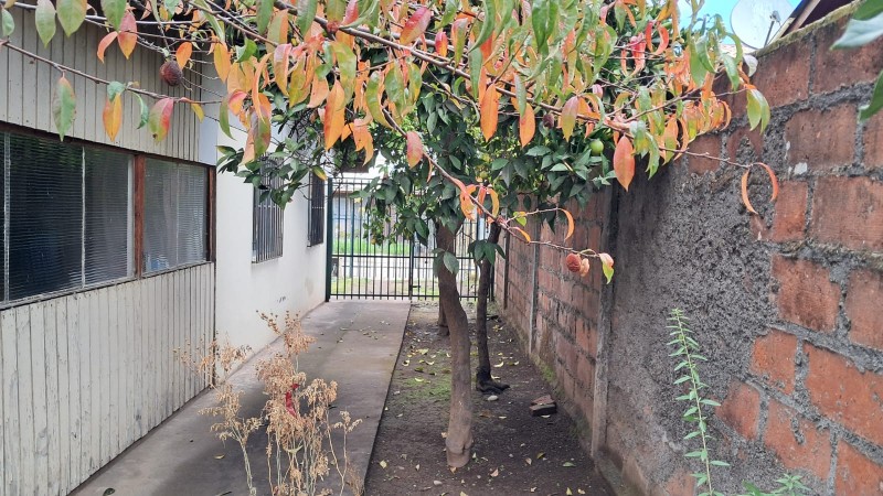 Acogedora Casa 2 Dorm Cocina Amplia en Calle A Rauquén