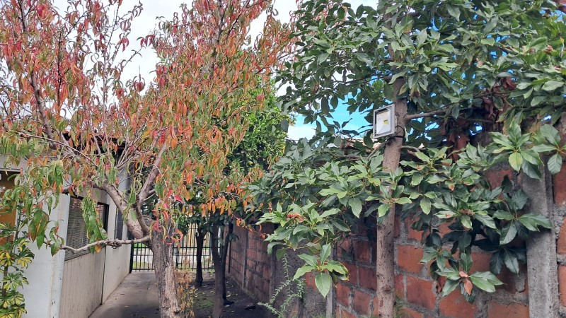 Acogedora Casa 2 Dorm Cocina Amplia en Calle A Rauquén