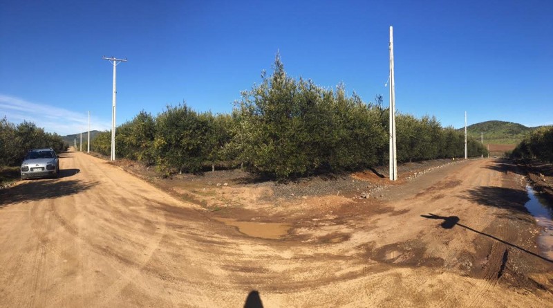 Linda y Exclusicva Parcela en Condominio en Pencahue, Talca