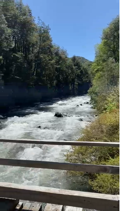Exclusiva Parcela Cercana A Salto la Princesa, Malalcahuello