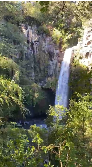 Exclusiva Parcela Cercana A Salto la Princesa, Malalcahuello