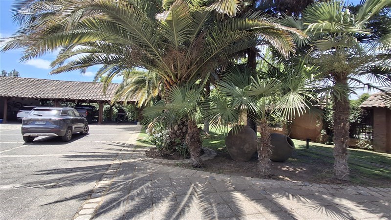 Casa Parcela