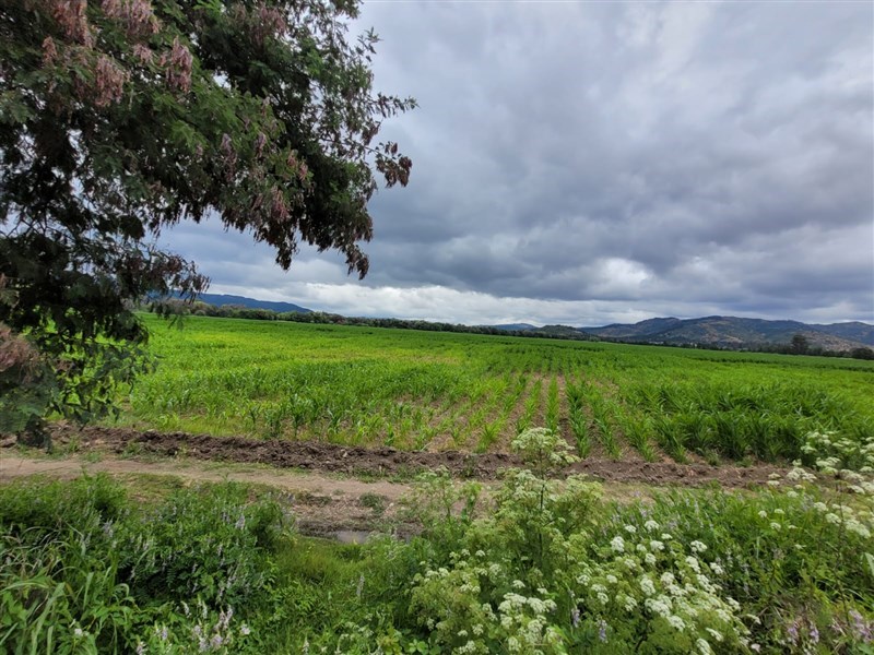 Parcela Agricola en Hualañe