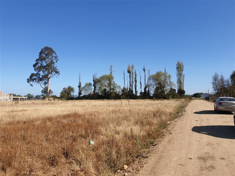 Parcela las Rastras A 12Mn Av San Miguel Venta Talca