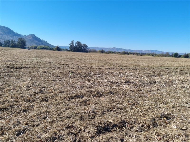 Parcela Agricola en Hualañe