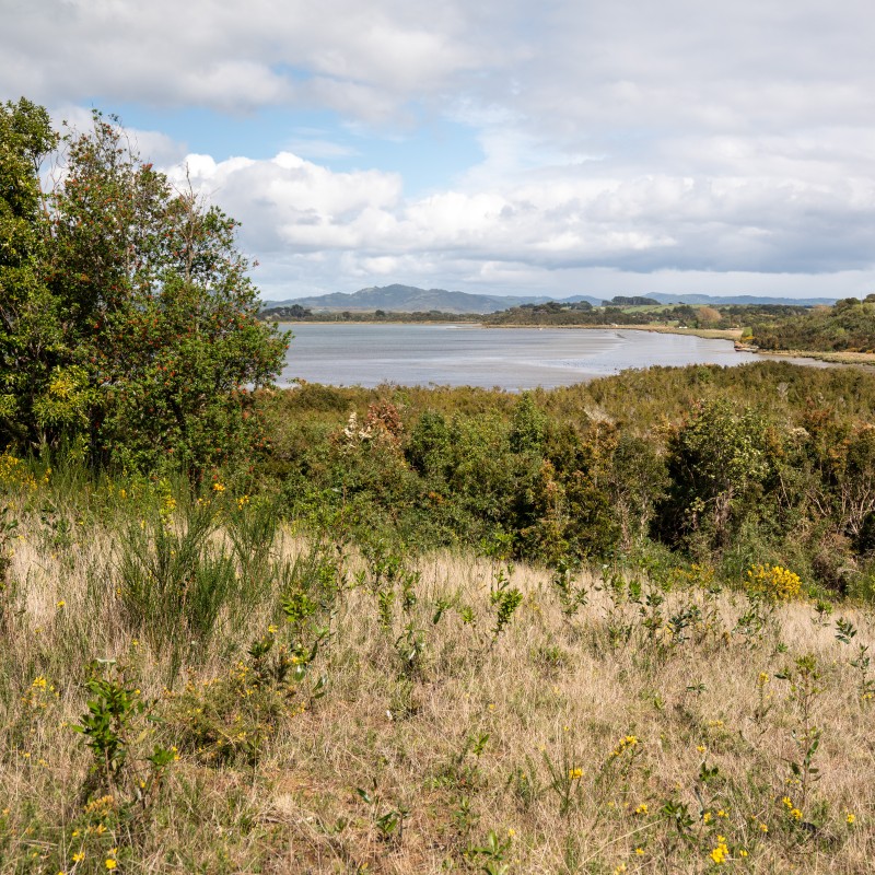 Parcelas Premium en Venta en Ancud