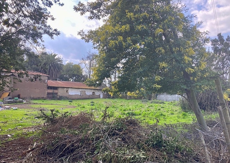 Terreno Comercial en Arriendo. Ubicación Estratégica, Curicó