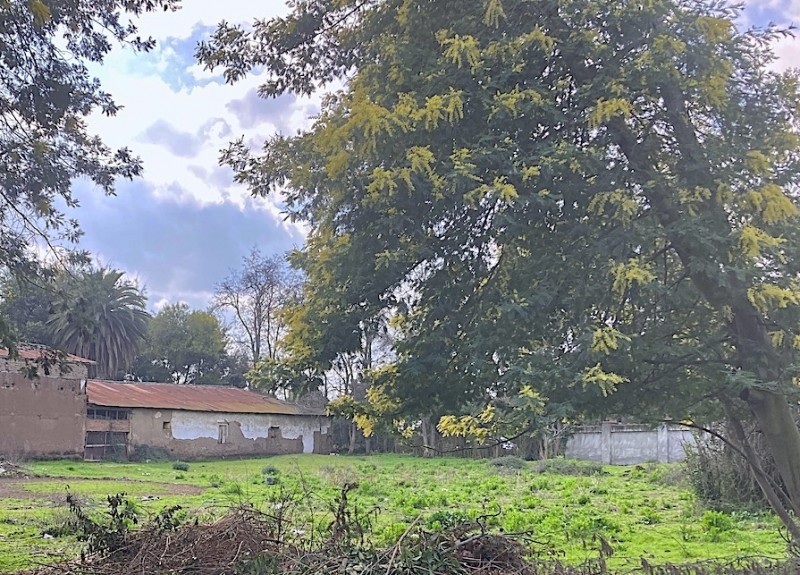 Terreno Comercial en Arriendo. Ubicación Estratégica, Curicó