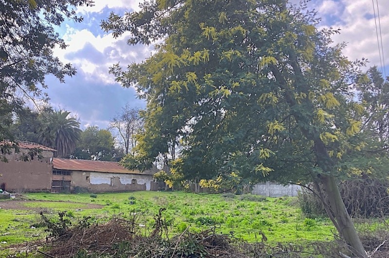 Terreno Comercial en Arriendo. Ubicación Estratégica, Curicó