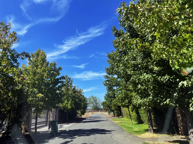 Parcela 12500 M2 en Palmas de Zapallar, Curicó (Cod. 39.826)