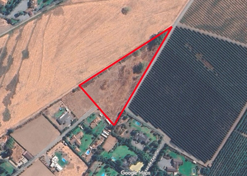 Parcela 12500 M2 en Palmas de Zapallar, Curicó (Cod. 39.826)