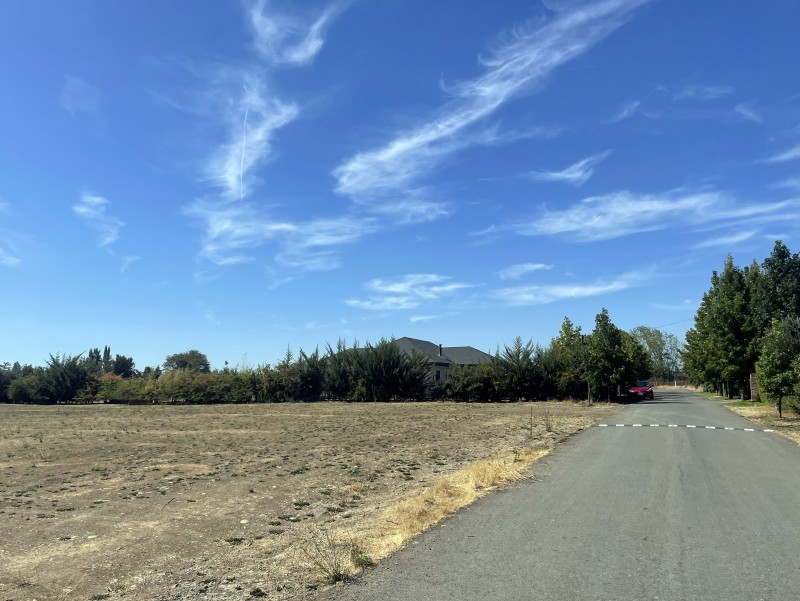 Parcela 12500 M2 en Palmas de Zapallar, Curicó (Cod. 39.826)
