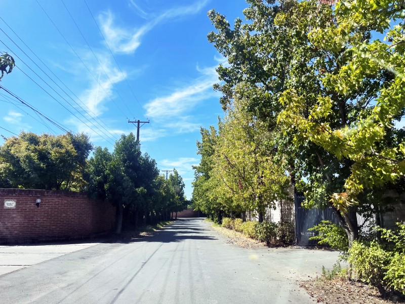 Parcela 12500 M2 en Palmas de Zapallar, Curicó (Cod. 39.826)