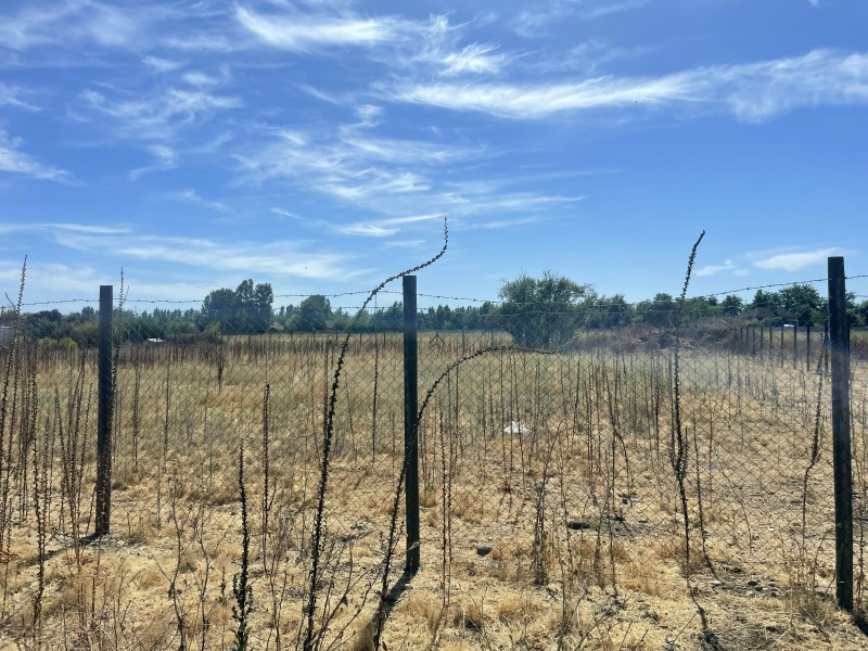 Parcela 12500 M2 en Palmas de Zapallar, Curicó (Cod. 39.826)