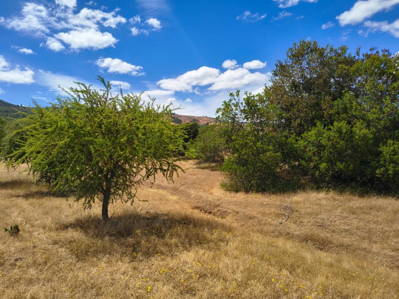 Increíble Parcela en Venta en Pencahue