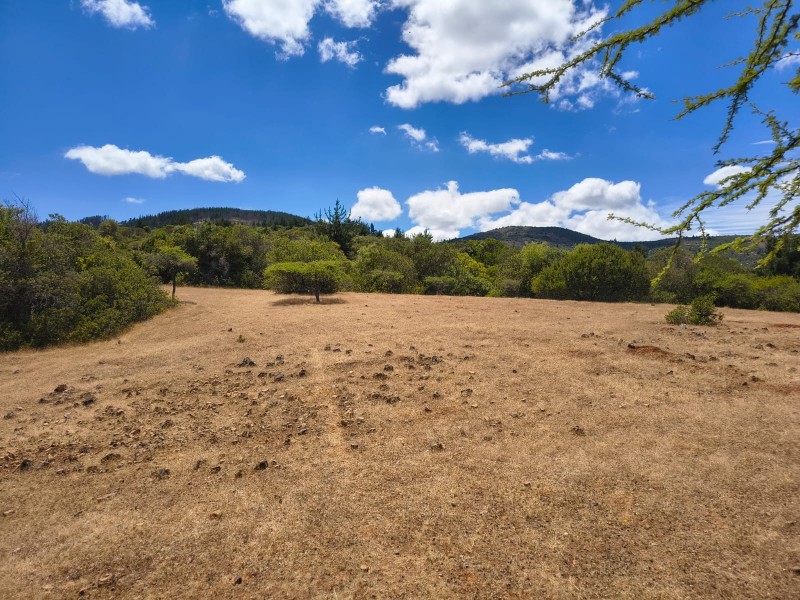 Increíble Parcela en Venta en Pencahue