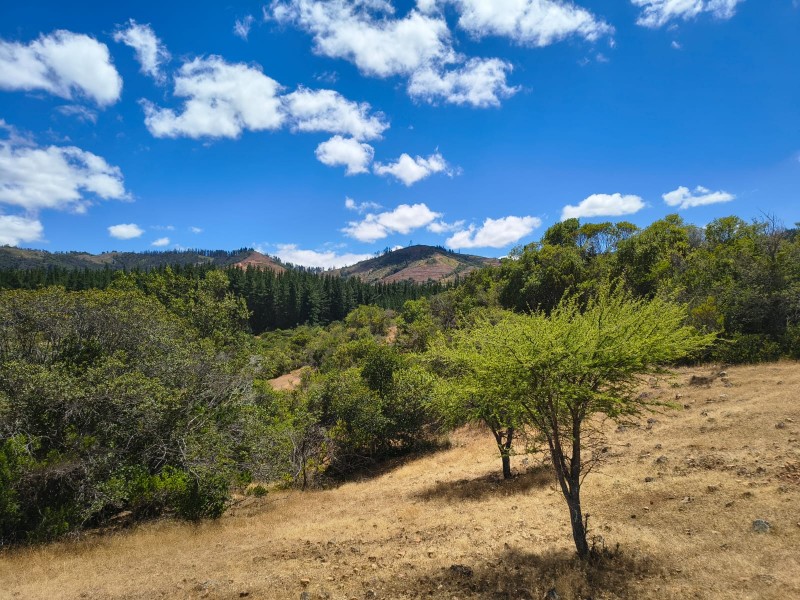 Increíble Parcela en Venta en Pencahue