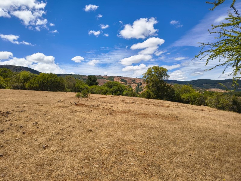Increíble Parcela en Venta en Pencahue