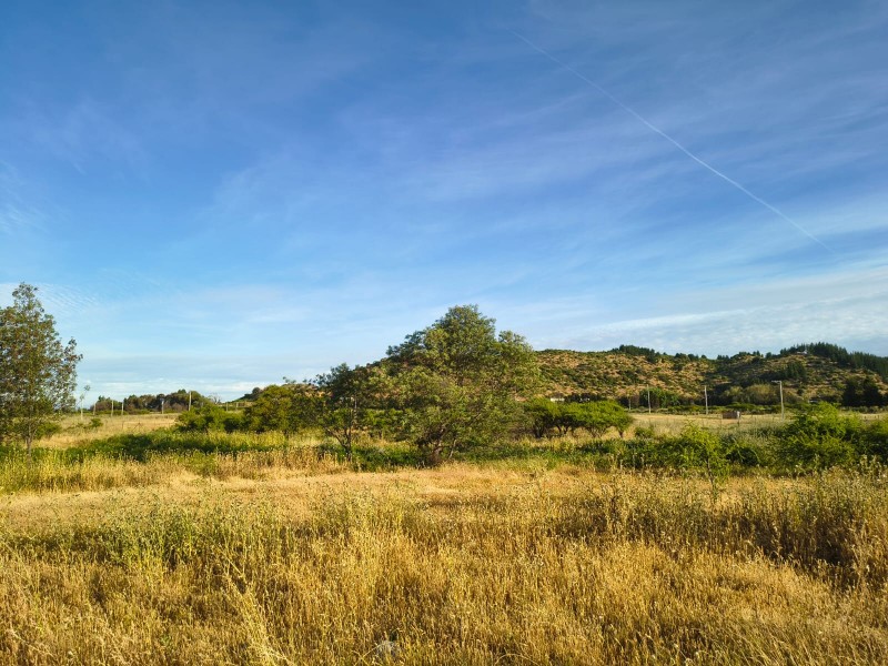 Venta de Parcelas en Maule