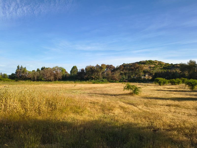 Venta de Parcelas en Maule