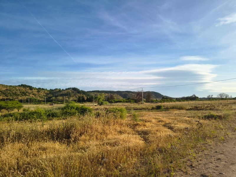 Venta de Parcelas en Maule