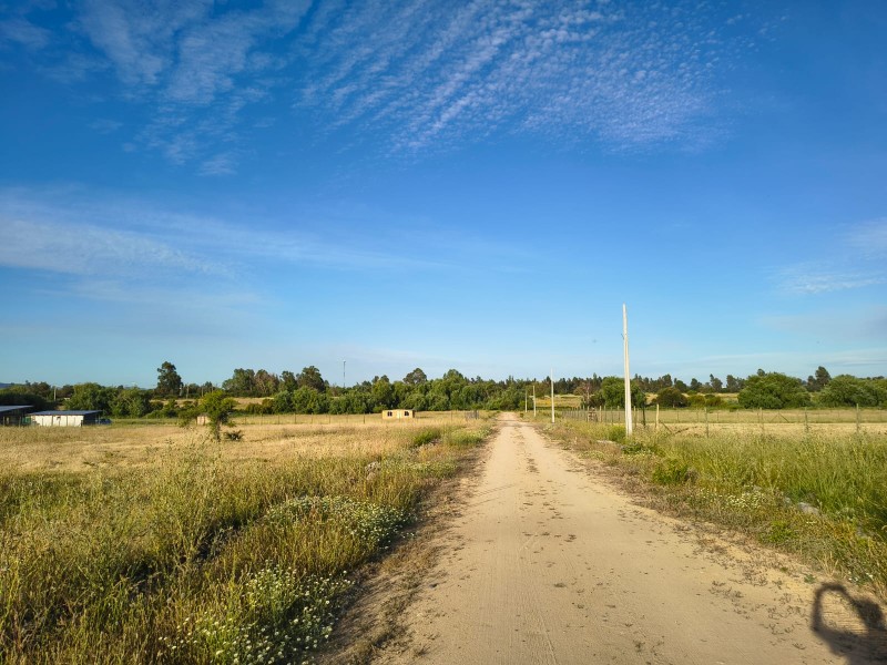 Venta de Parcelas en Maule