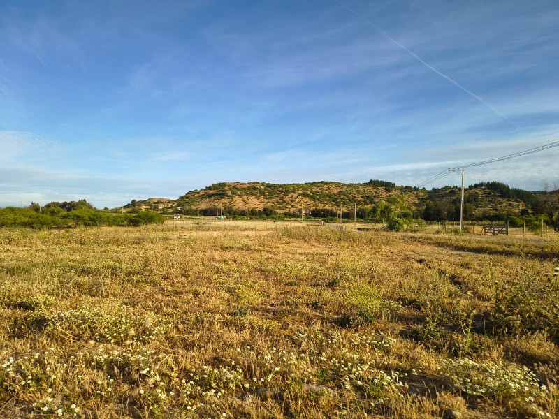 Venta de Parcelas en Maule