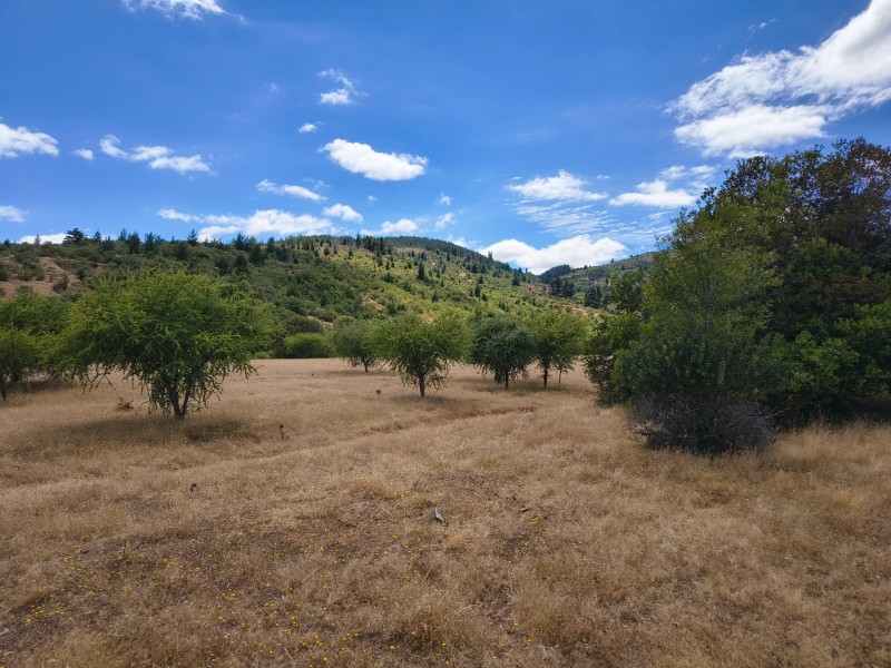 Increíble Parcela en Venta en Pencahue