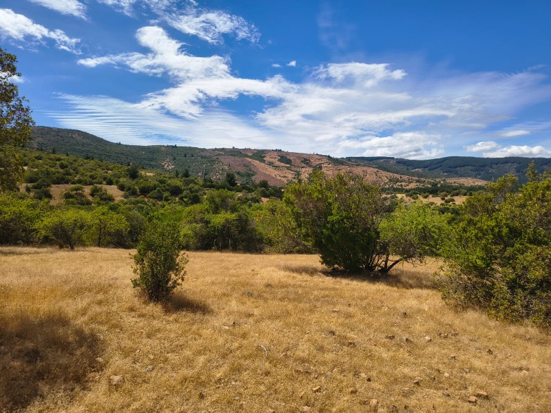 Increíble Parcela en Venta en Pencahue