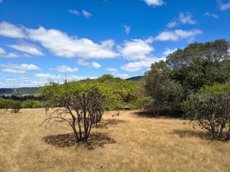 Increíble Parcela en Venta en Pencahue