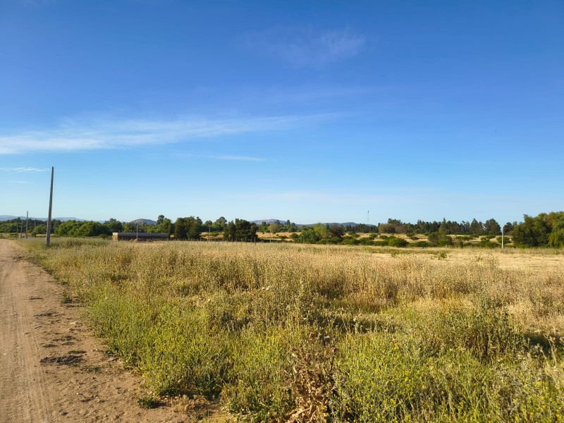 Venta de Parcelas en Maule