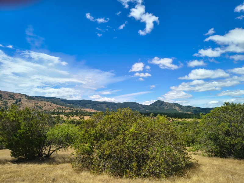 Increíble Parcela en Venta en Pencahue
