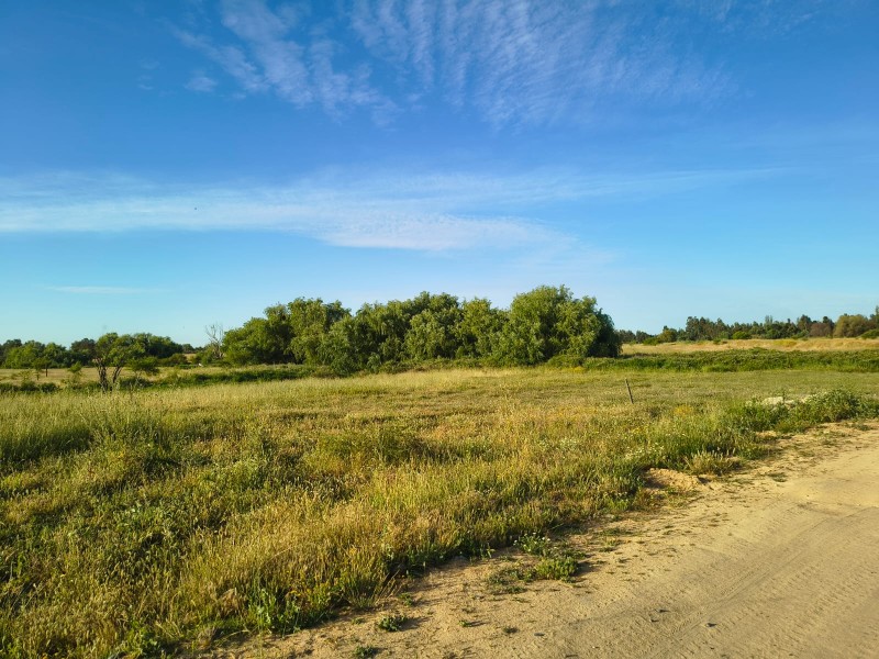 Venta de Parcelas en Maule