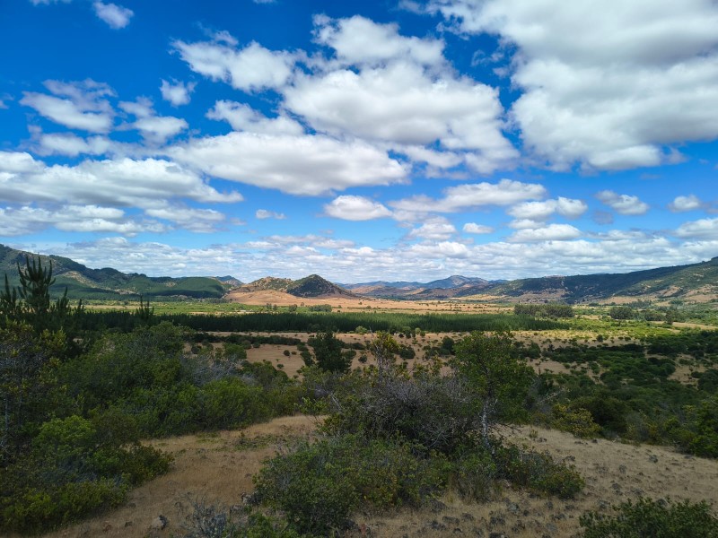 Increíble Parcela en Venta en Pencahue