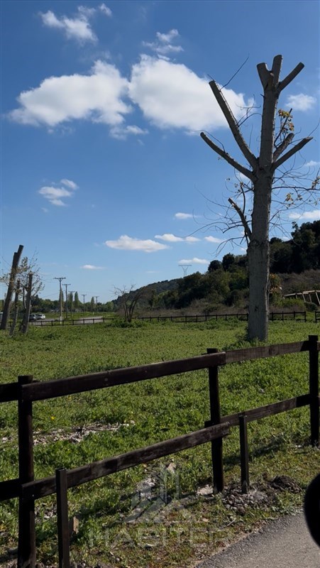 Proyecto Valle Tranquilo – Camino A Zapallar, Curicó