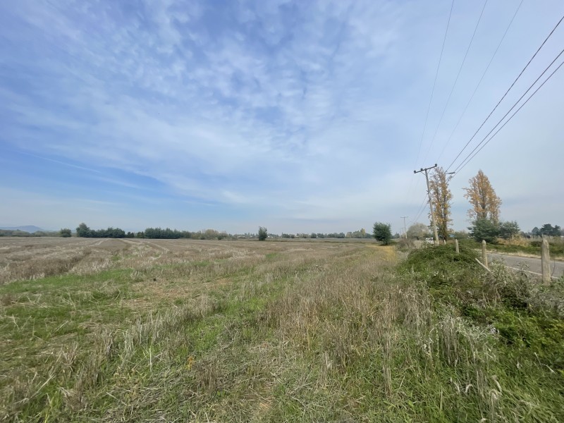 Se Vende Terreno Agrícola de 12 Hectáreas en Sector Mariposa