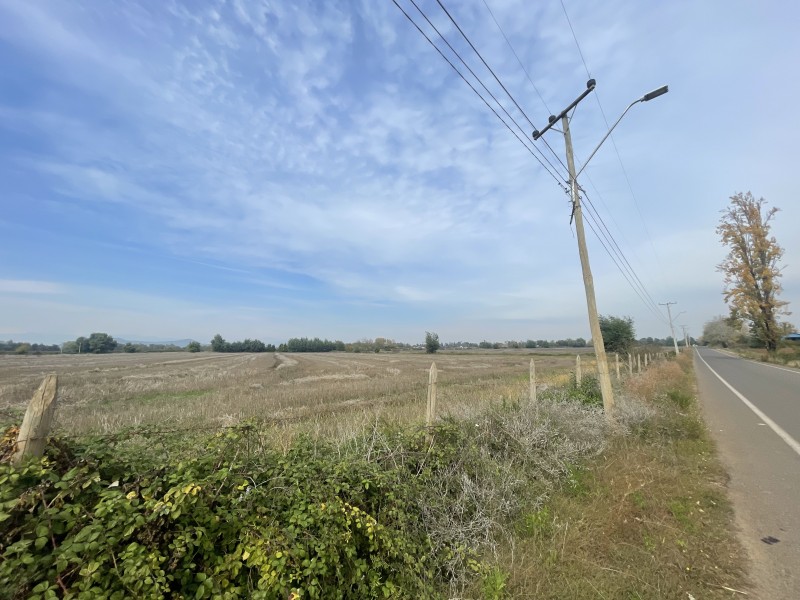 Se Vende Terreno Agrícola de 12 Hectáreas en Sector Mariposa